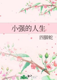 小强的人生