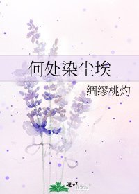 何处染尘埃